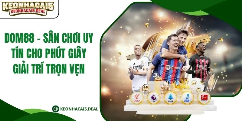 Dom88 - Sân Chơi Uy Tín Cho Phút Giây Giải Trí Trọn Vẹn