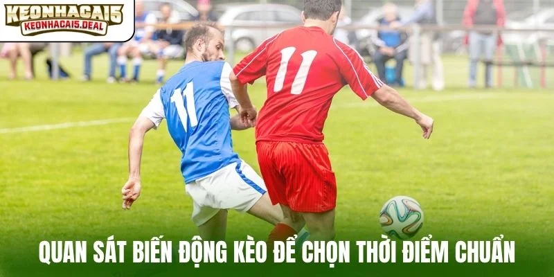 Quan sát biến động tỷ lệ để chọn thời điểm chuẩn